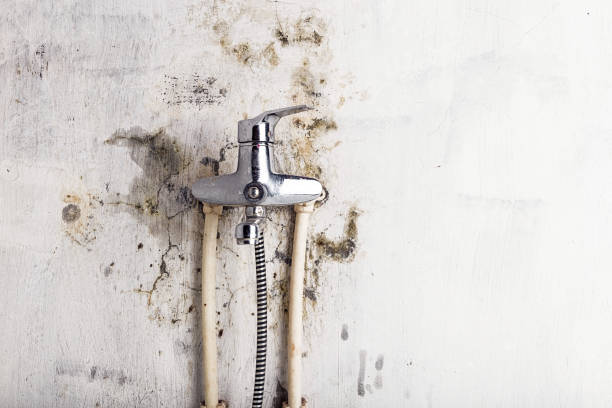 Best Affordable Mold Removal  in Matthews, NC