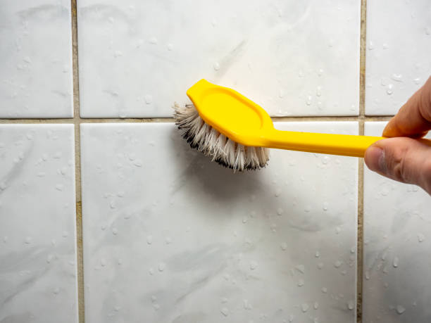 Best Mold Remediation Services  in Matthews, NC