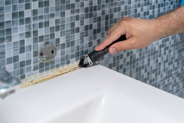Best Mold Cleaning Services  in Matthews, NC