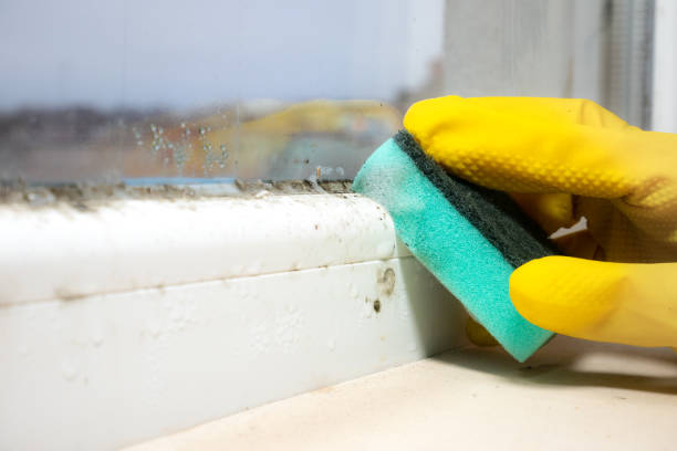 Best Crawl Space Mold Removal  in Matthews, NC