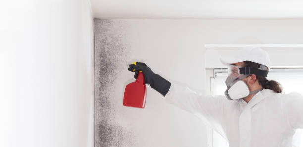 Best Mold Remediation Services  in Matthews, NC