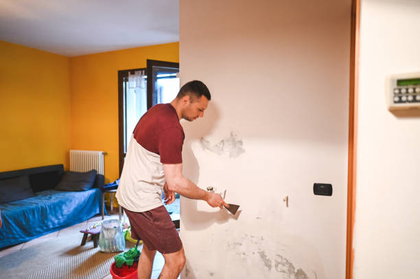 Best Mold Damage Repair  in Matthews, NC