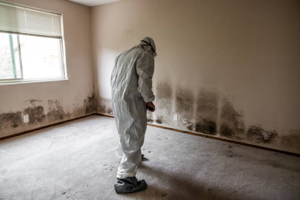 Best Fast Mold Removal  in Matthews, NC